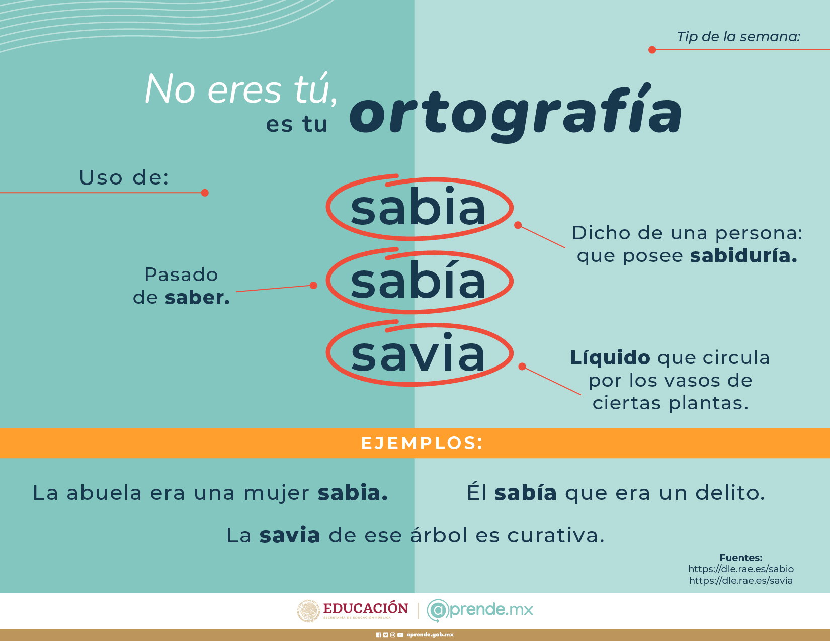 ORTOGRAFIA 21 MARZO