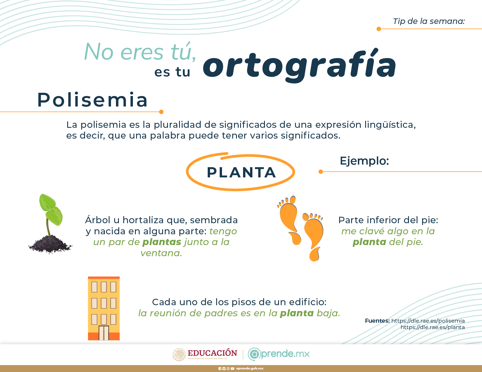 ORTOGRAFIA 06 JUN