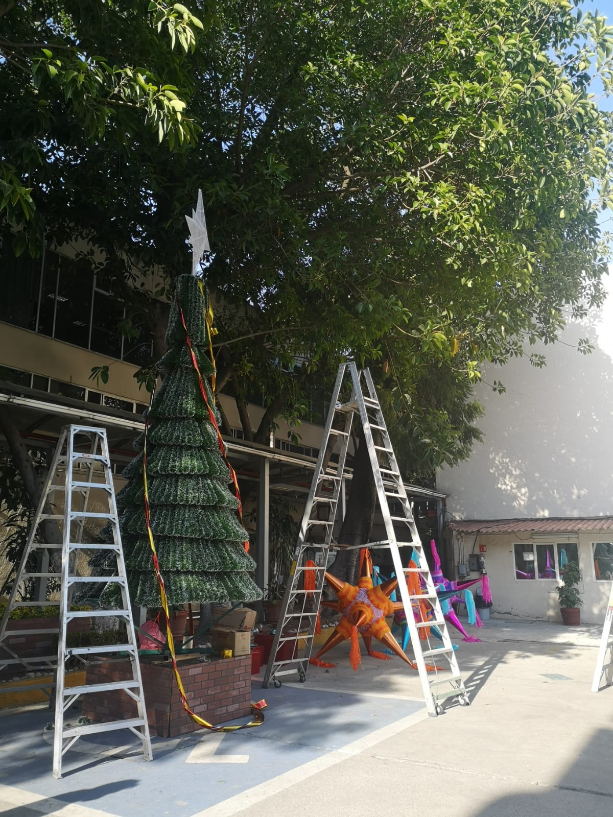 IMG-20230705-WA0074