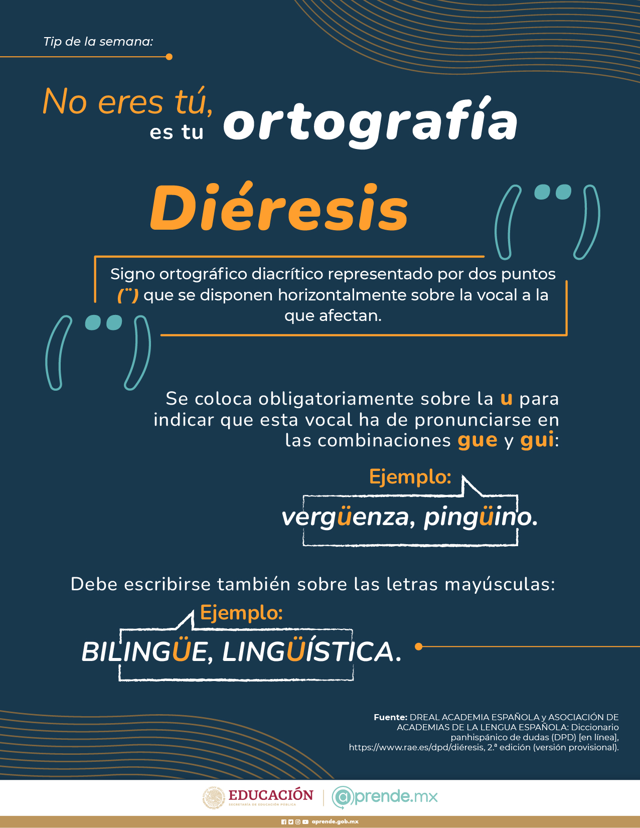ORTOGRAFIA 8 AGOS