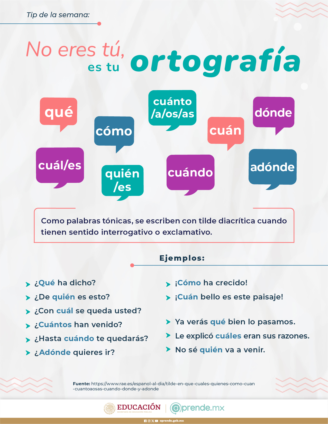 ORTOGRAFIA 14 NOV