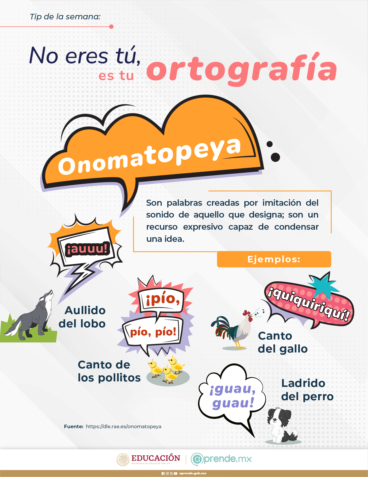 ORTOGRAFIA 20 FEB