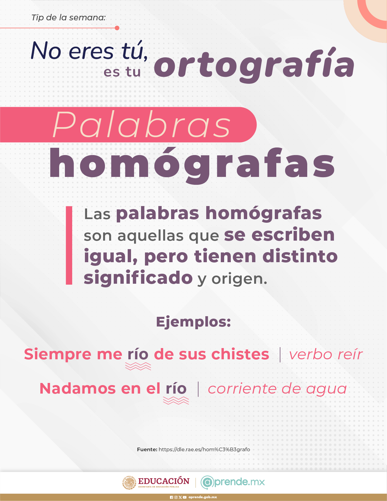ORTOGRAFIA 13 AGOSTO