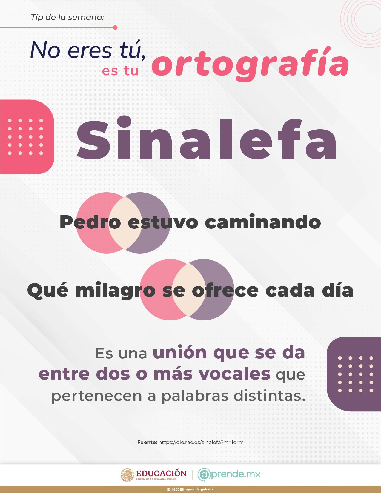 ORTOGRAFIA 20 AGOSTO
