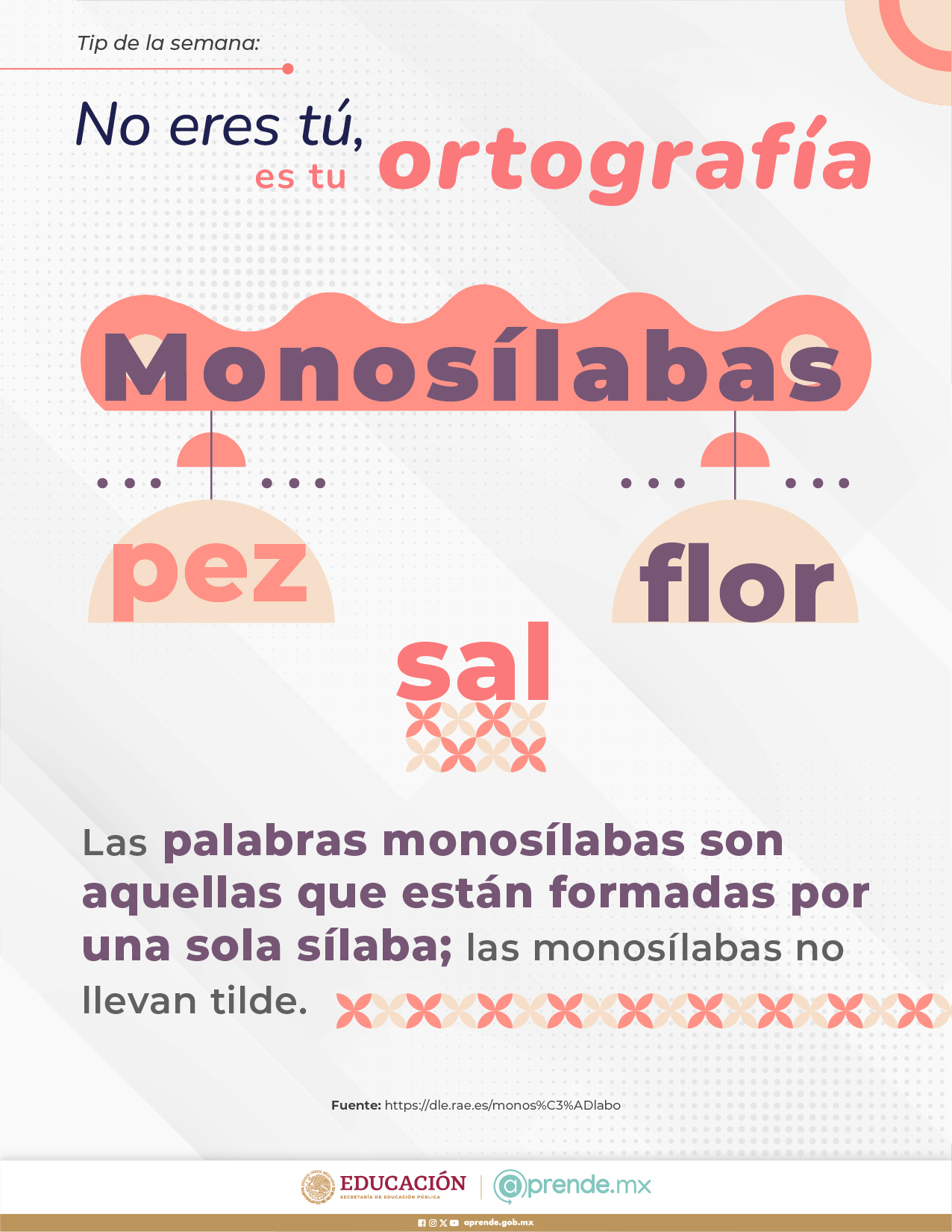 ORTOGRAFIA 6 AGOSTO