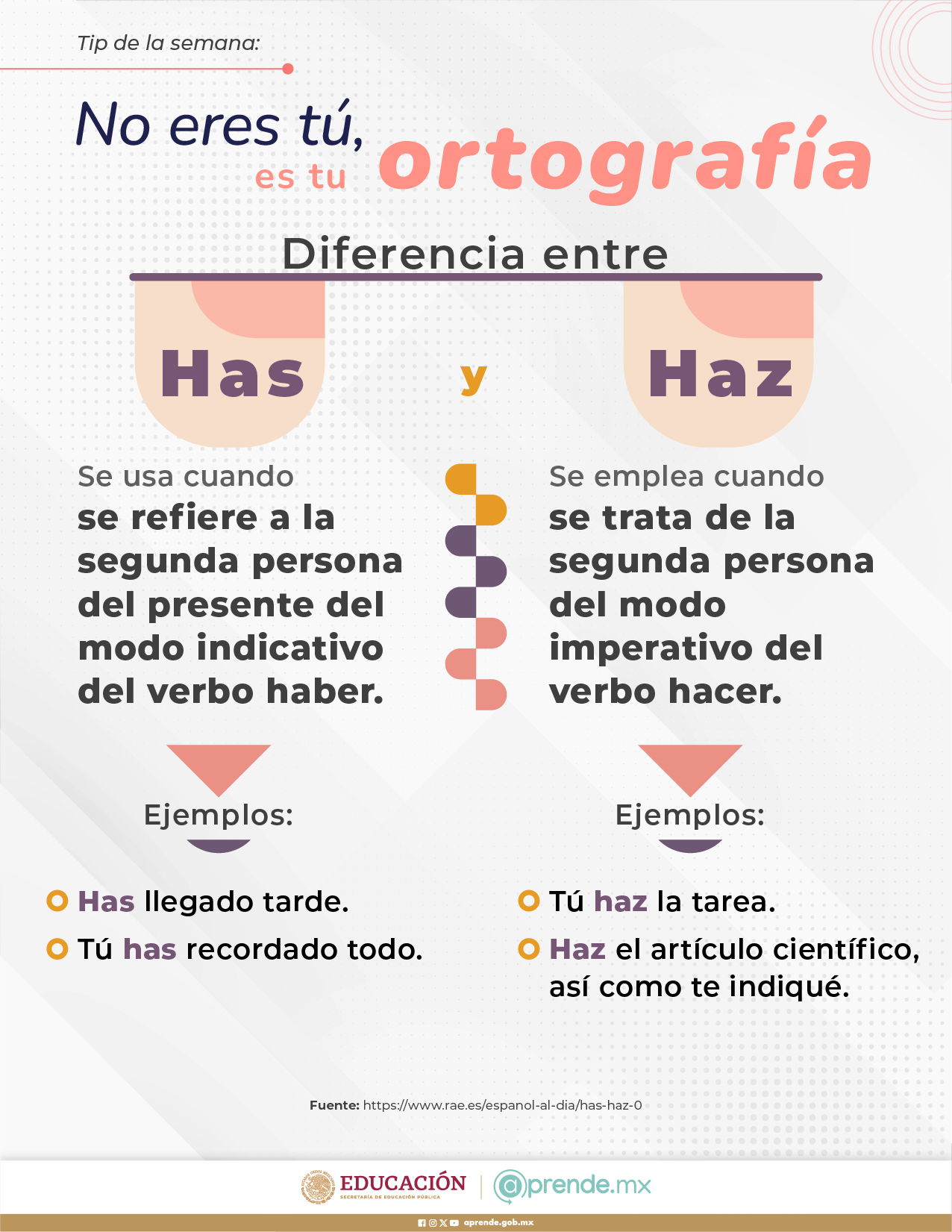 ORTOGRAFIA 8 OCT