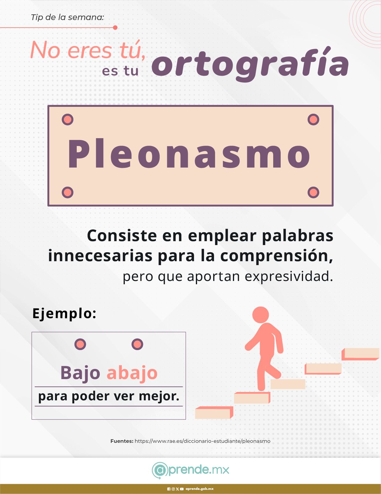 ORTOGRAFIA 19 NOV