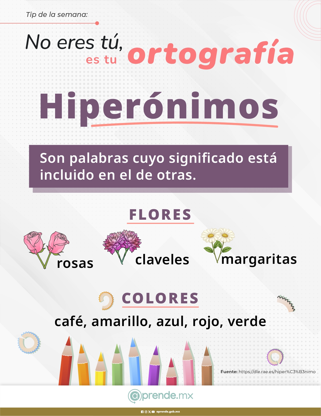 10 DICIEMBRE