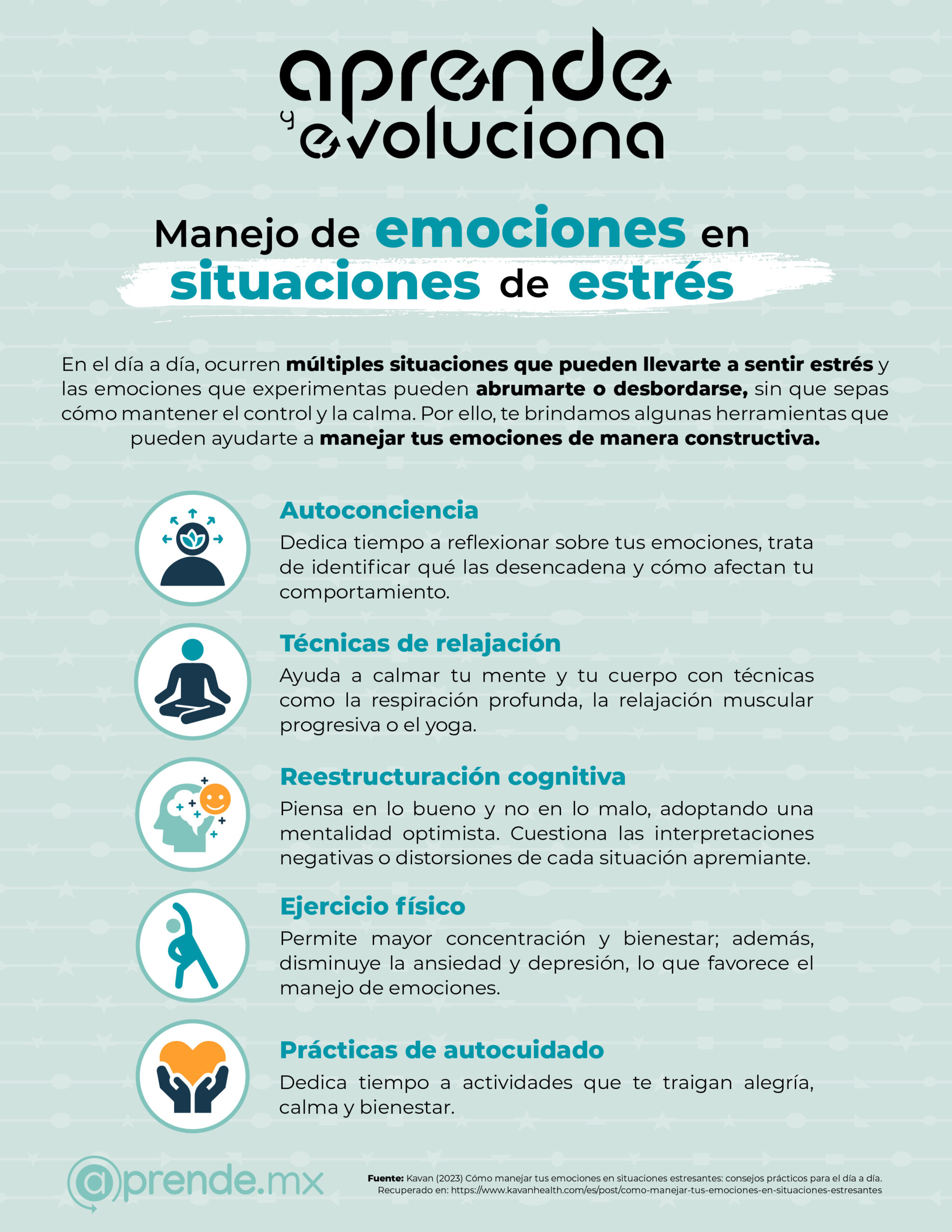 9. MANEJO DE EMOCIONES