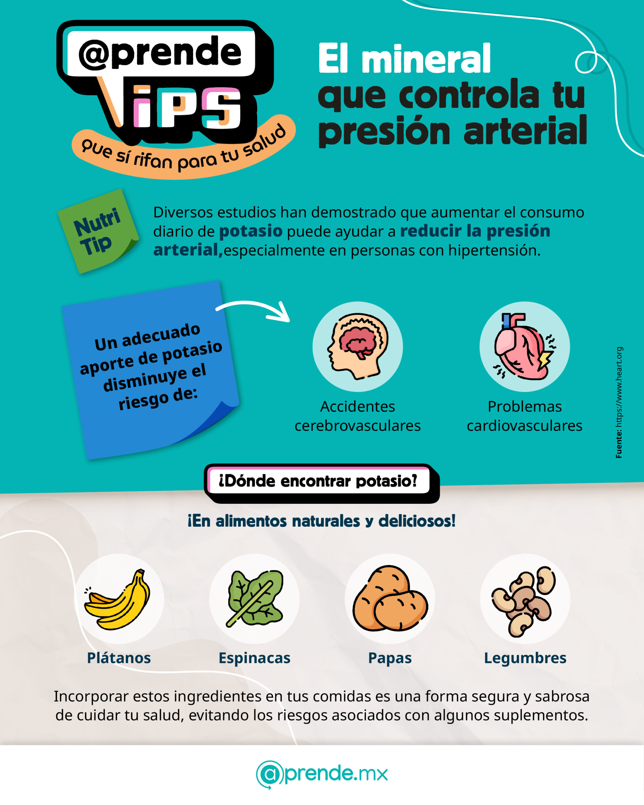 2.2 Nutri tip 08.10.2025