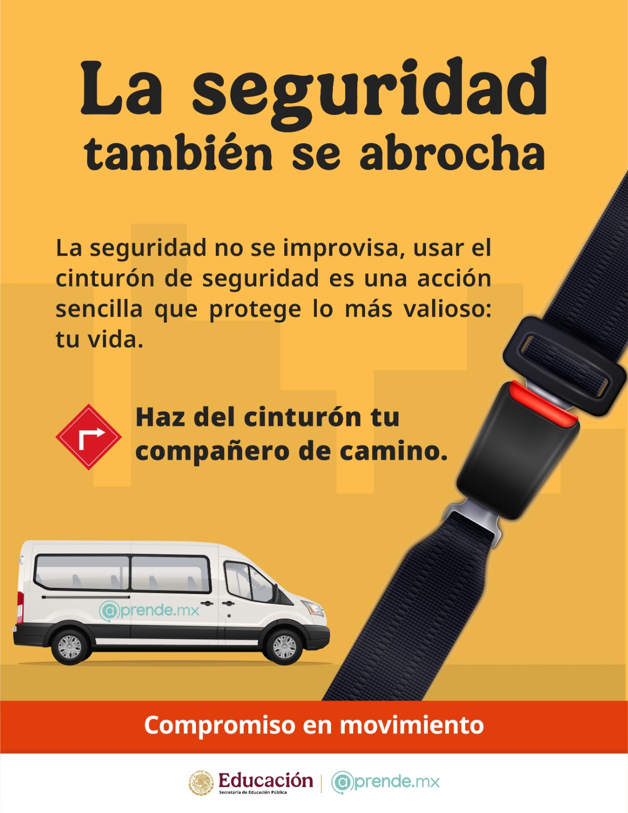 Seguridad 01