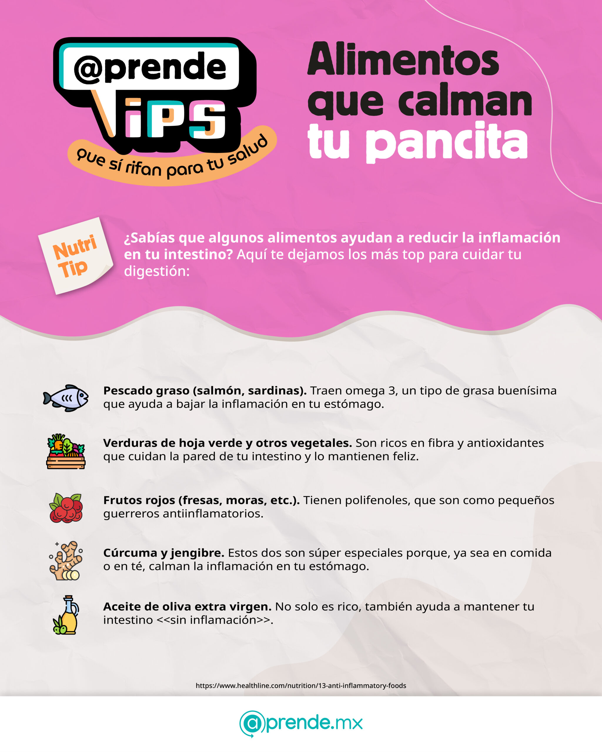 1.2 Nutri tip 26.11.2025