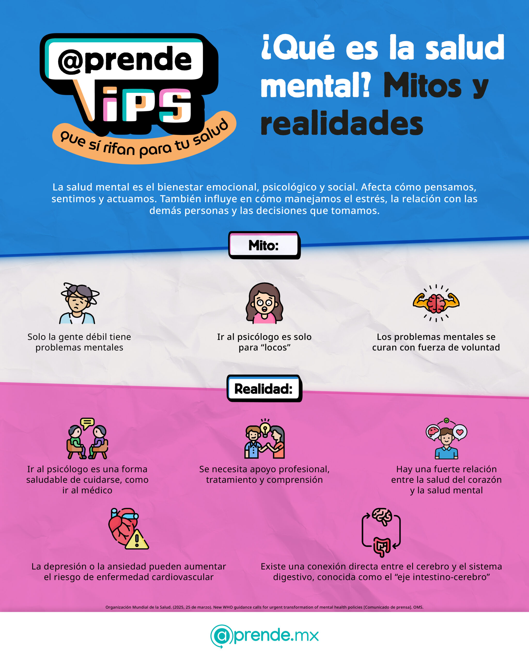 2.3 Salud tip 07.11.2025