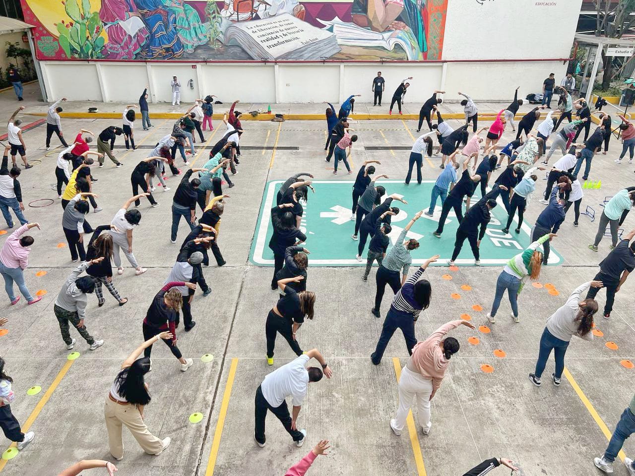 Circuito activación física (2)