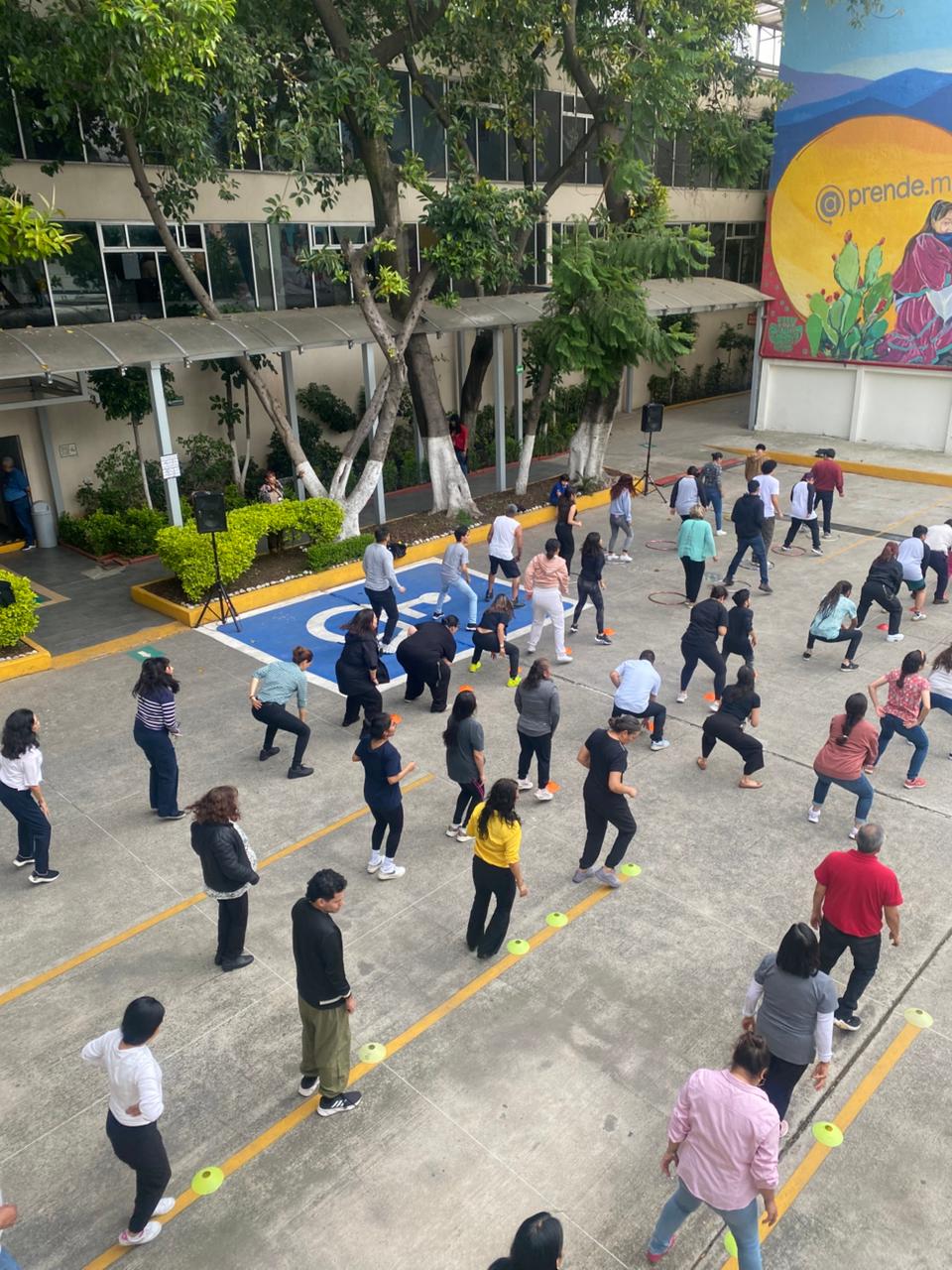 Circuito activación física (3)
