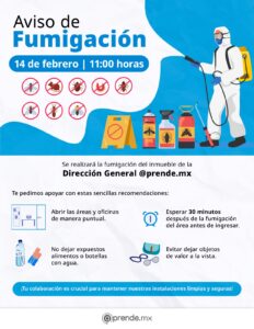 Servicio de fumigación 2026