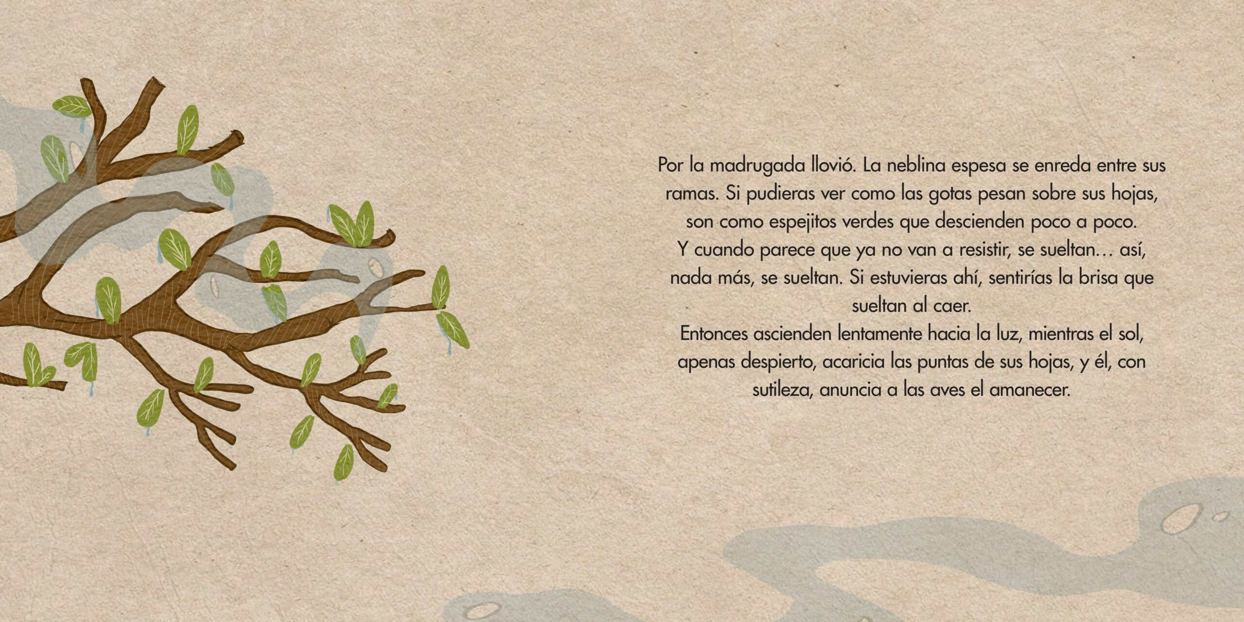 Raiz_page-0002